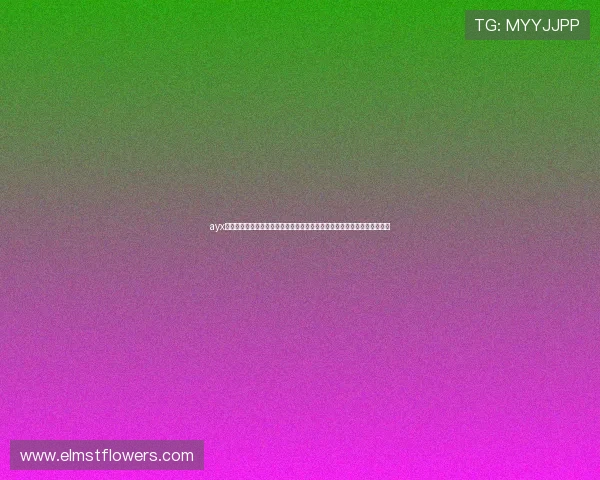 ayx体育娱乐平台最新官方登录入口，提供多样化体育赛事直播与高效投注体验