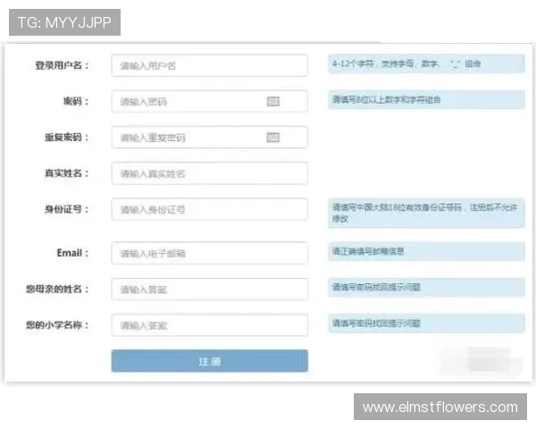 多米体育官网注册流程详解帮助新手快速完成账号注册与登录指南