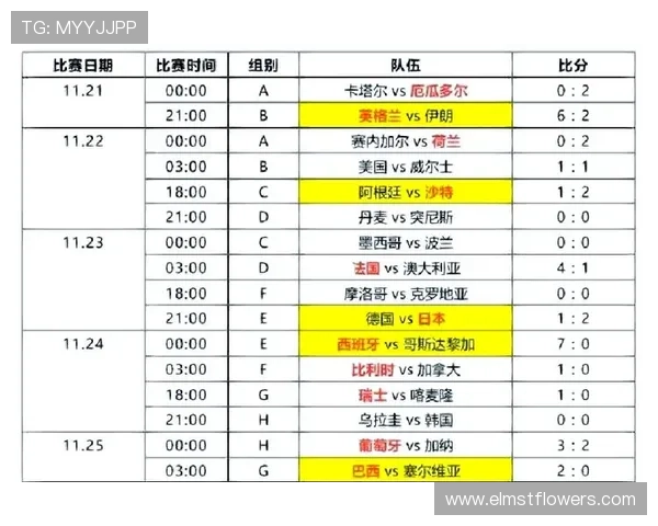 世界杯荷兰日本比赛比分表下载及比赛亮点回顾，深度解读比赛精彩瞬间
