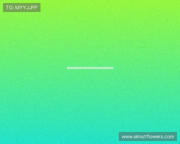 伊朗与新西兰在世界杯中的激烈对决比分直播全程回放与比赛亮点总结
