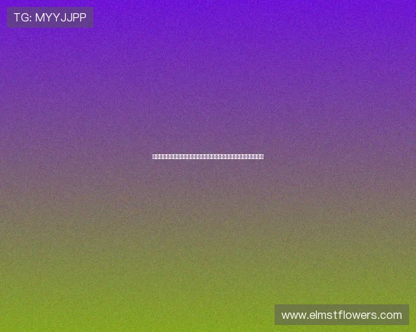 瑞典荷兰反击战术比较:世界杯赛场上两队战术特点与胜负关键因素分析